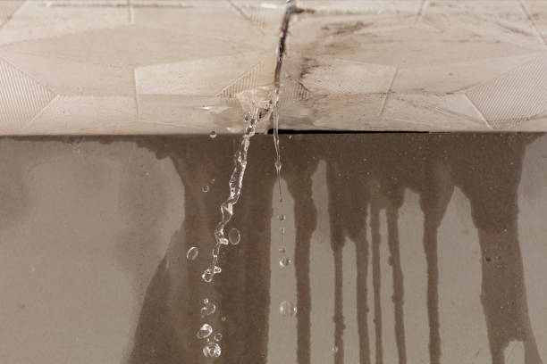 Professional Water Damage Repair technician working in Paramount, CA